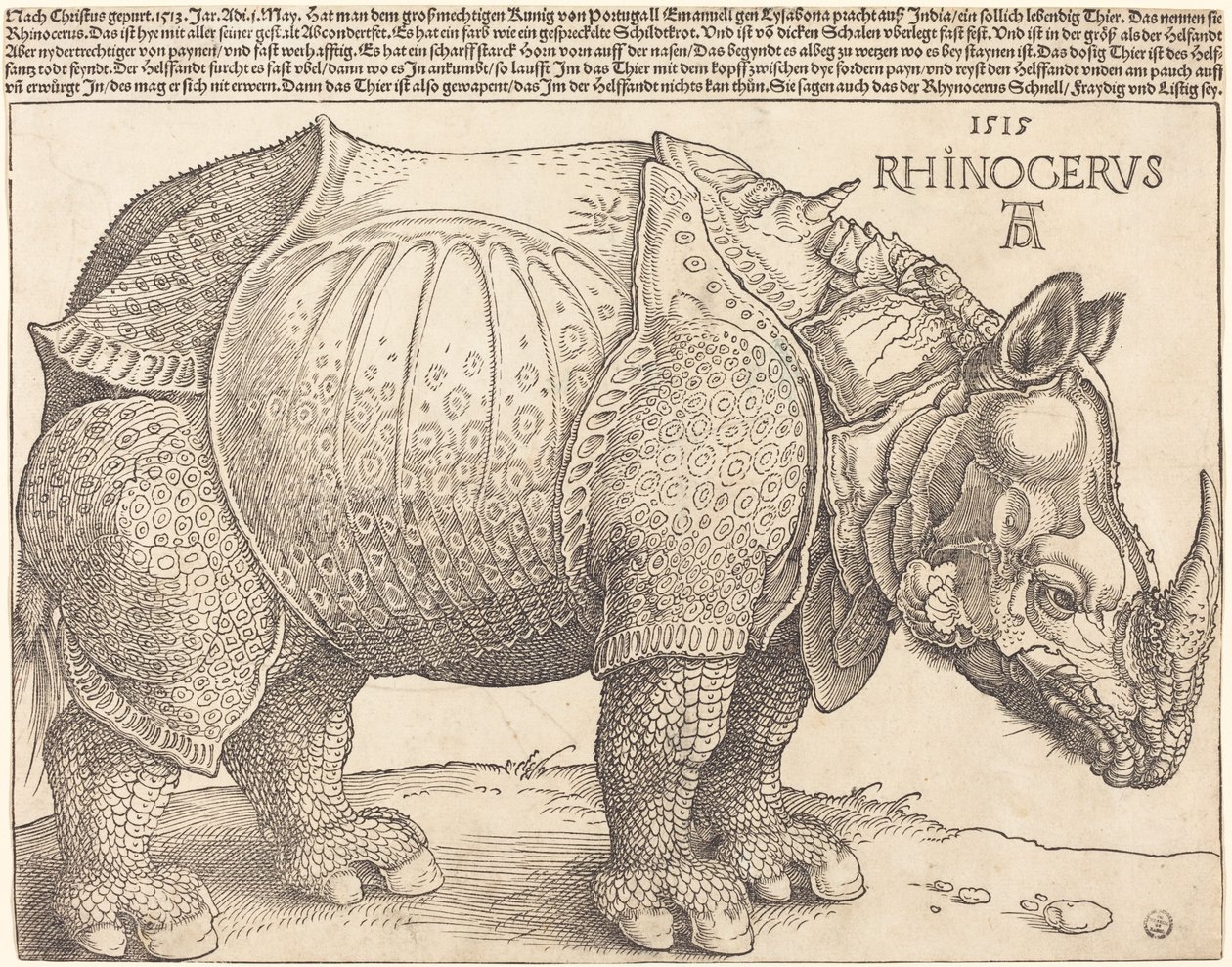 De neushoorn, 1515 door Albrecht Dürer