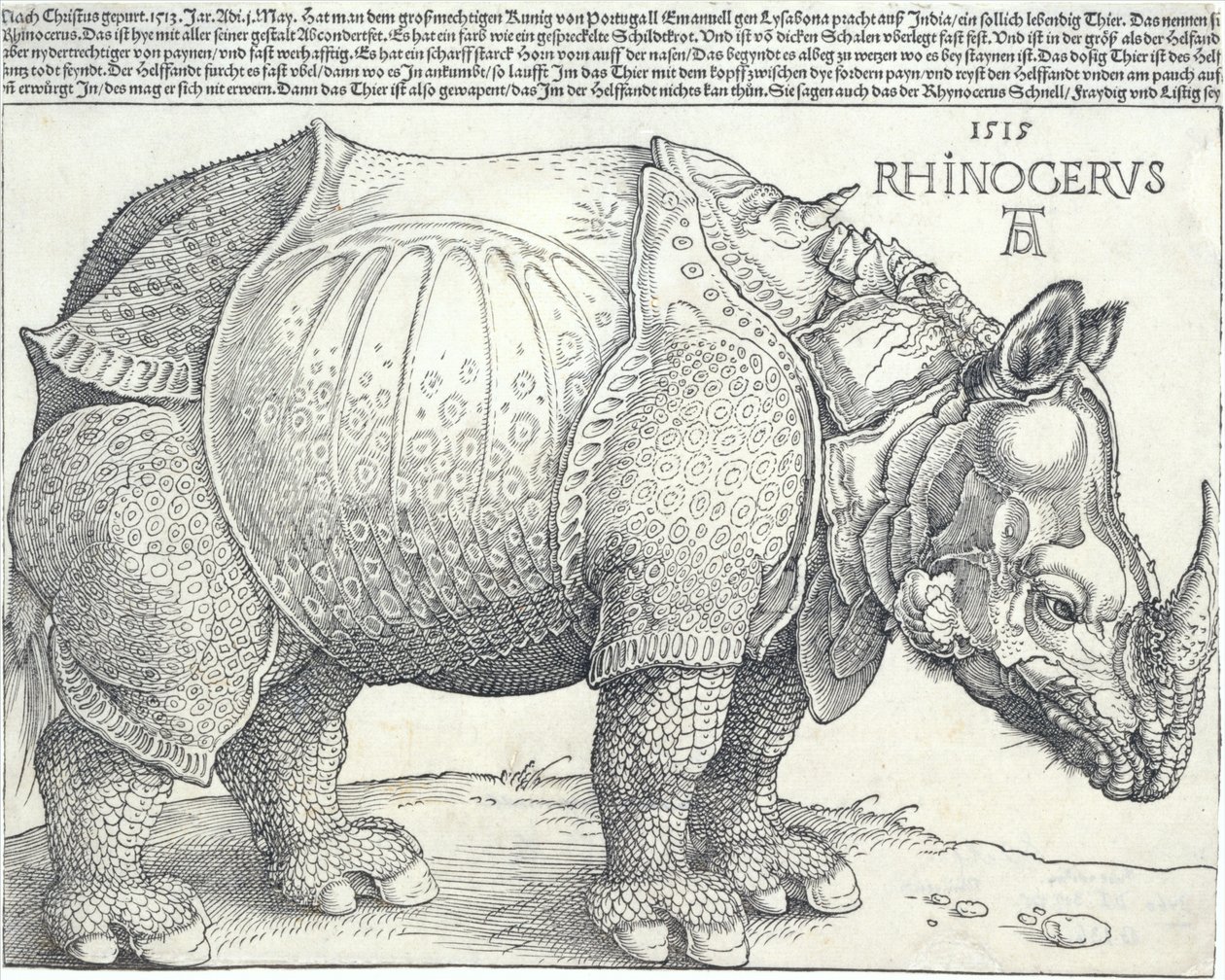 De neushoorn, 1515 door Albrecht Dürer