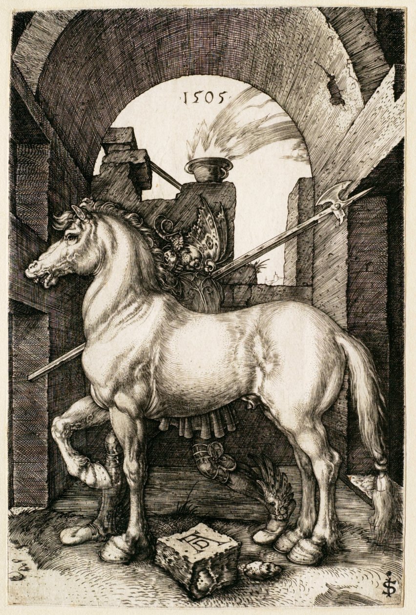 Het kleine paard door Albrecht Dürer