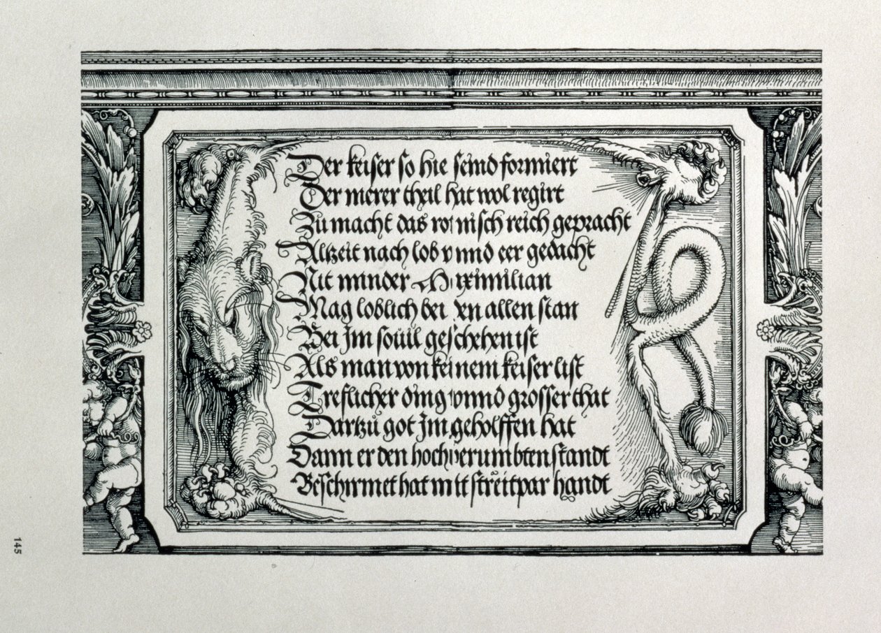 De Triomfboog van Keizer Maximiliaan I van Duitsland: detail van een leeuwenhuid met een inscriptie door Albrecht Dürer