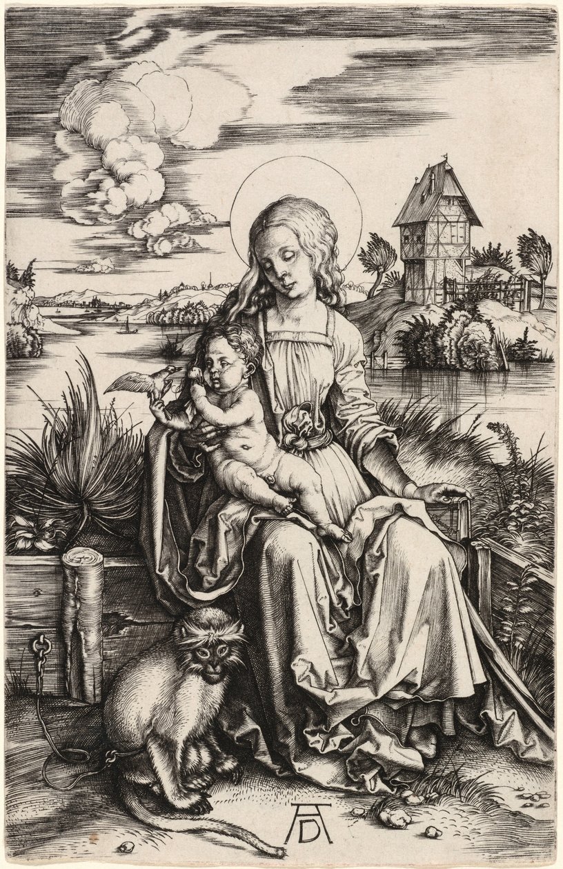 De Maagd met het Kind en de aap door Albrecht Dürer