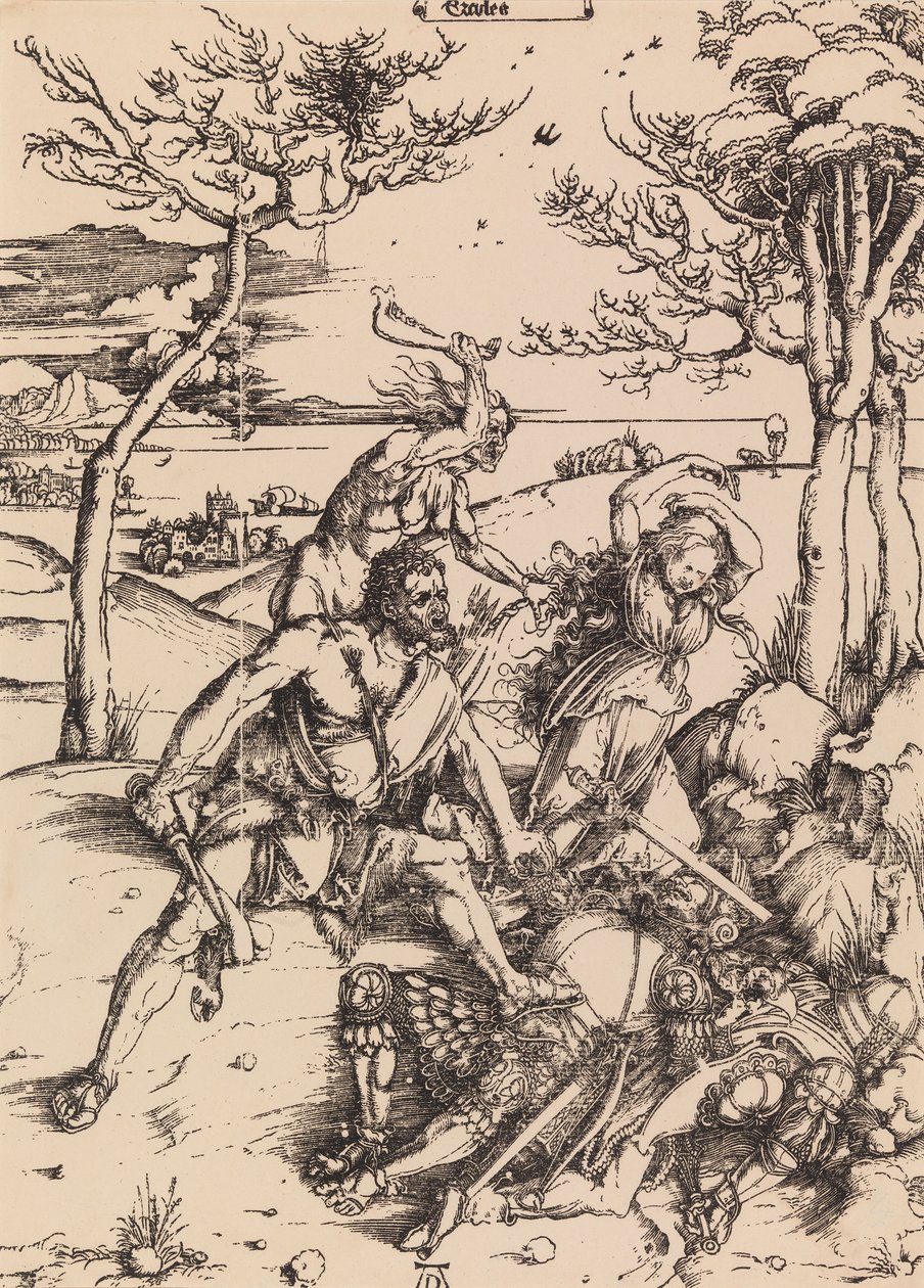 Zonder titel door Albrecht Dürer