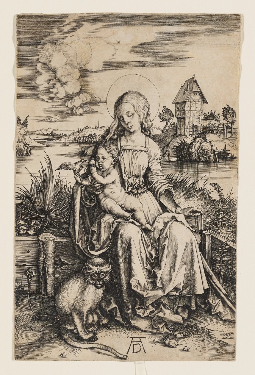 Maria met het Kind en de aap door Albrecht Dürer