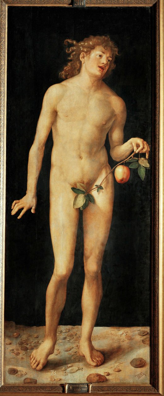 Adam door Albrecht Dürer or Duerer