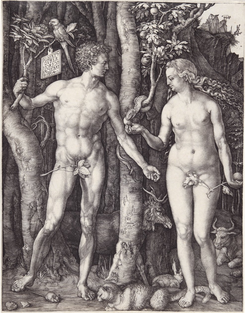 Adam en Eva door Albrecht Dürer