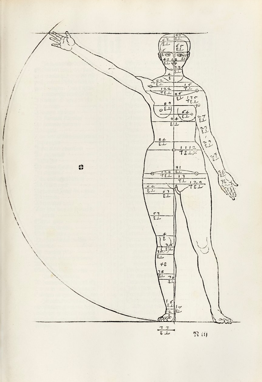 Vrouwelijke anatomische houtsnede uit 