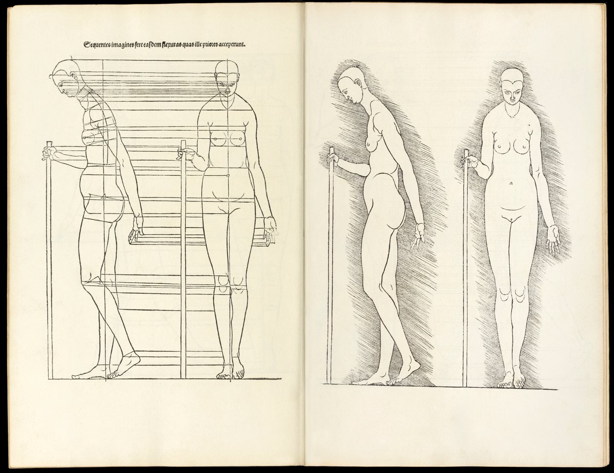 Vrouw met staf, anatomische houtsnede uit Hierinn sind begriffen vier bücher von menschlicher Proportion, 1528 door Albrecht Dürer