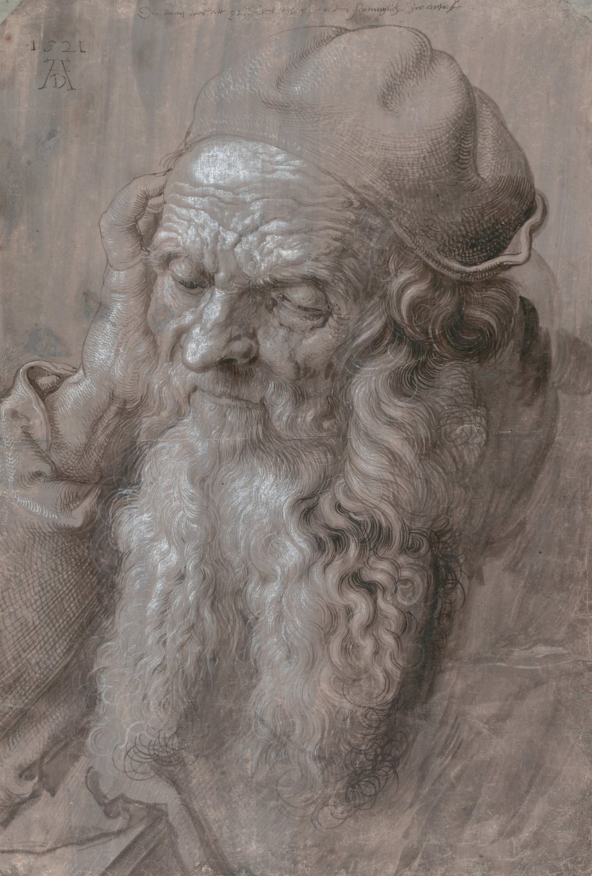 Hoofd van een oude man door Albrecht Dürer