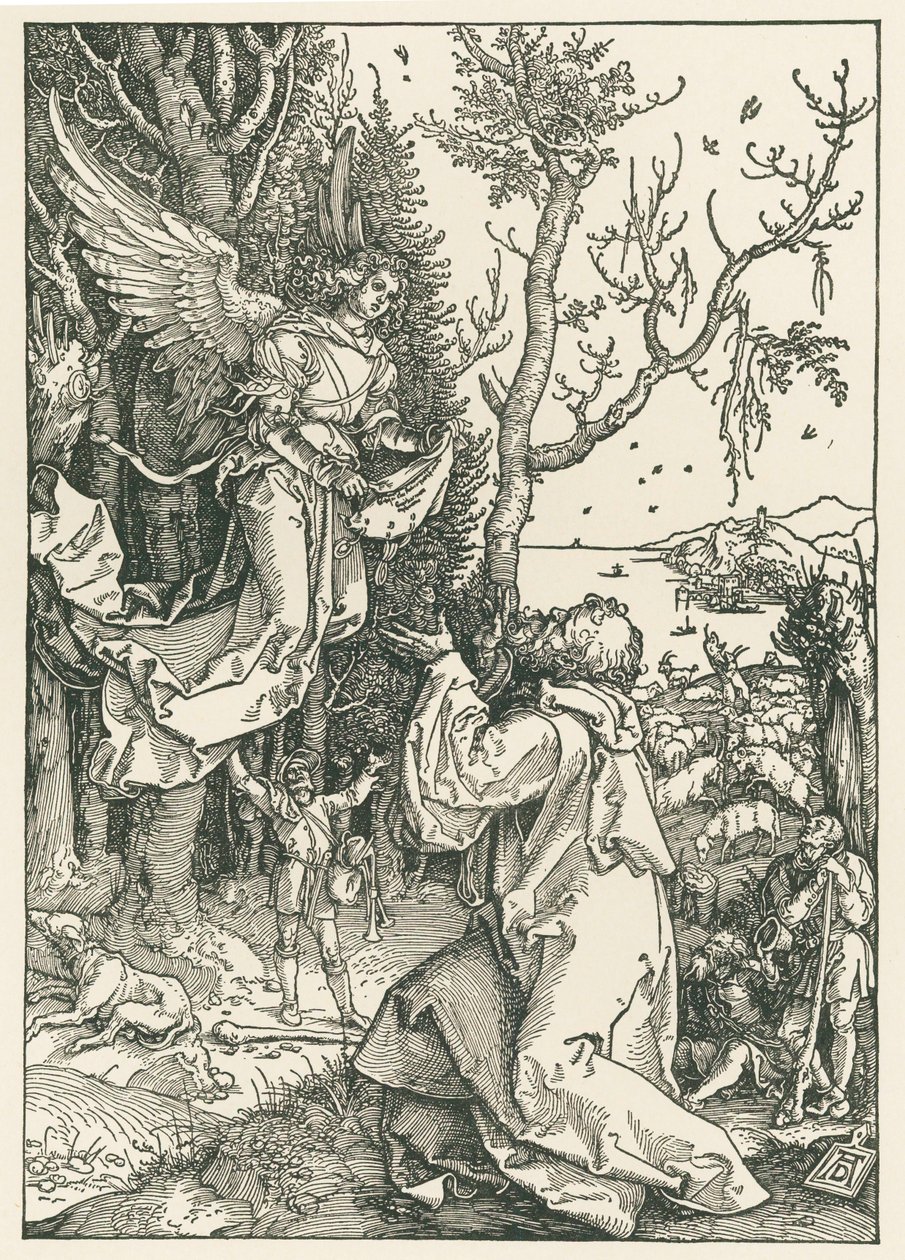 De engel die Joachim de boodschap brengt, c.1504 (houtsnede) door Albrecht Dürer or Duerer