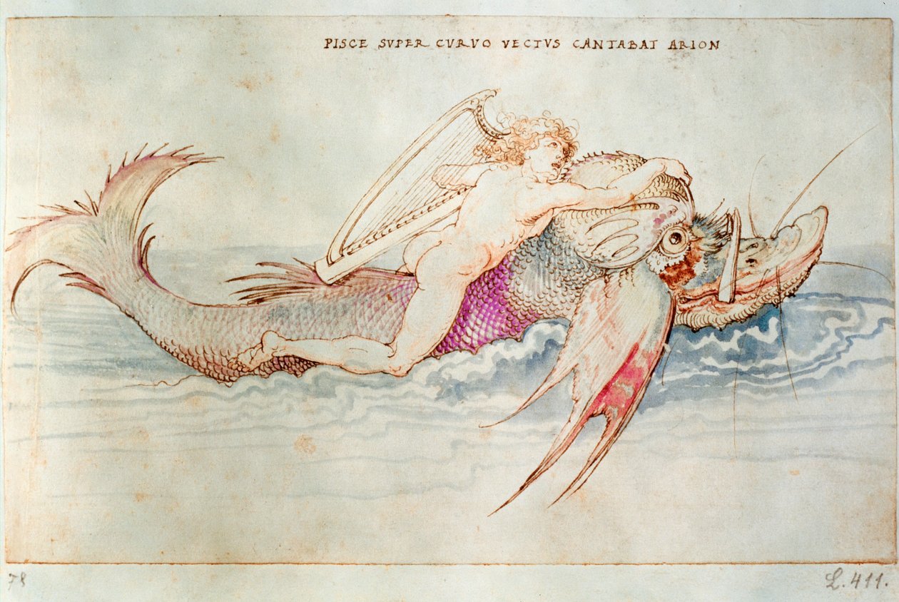 De Griekse dichter Arion rijdt op de dolfijn, c.1515 (aquarel op papier) door Albrecht Dürer or Duerer