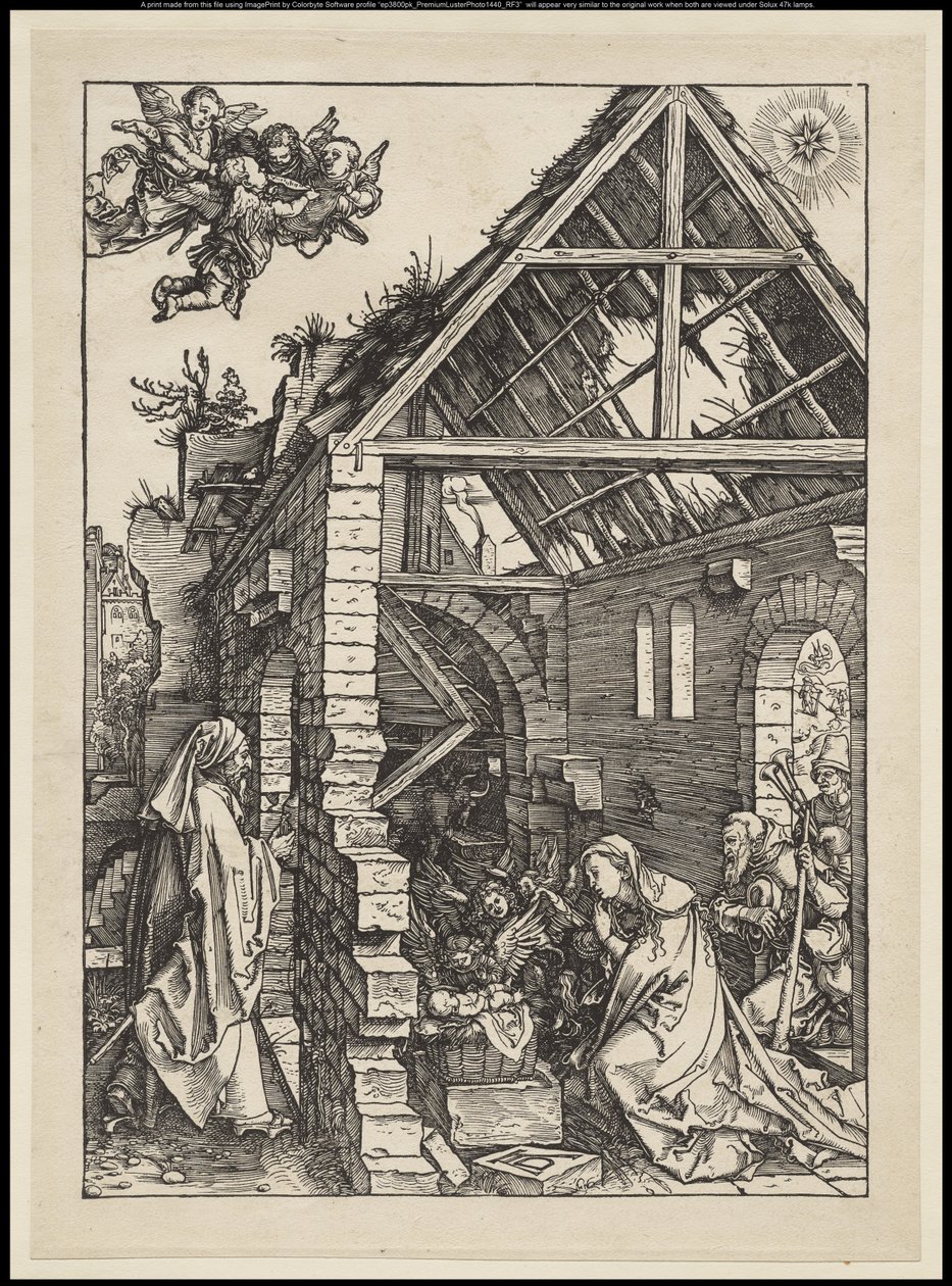 Het Leven van de Maagd: De Geboorte door Albrecht Dürer