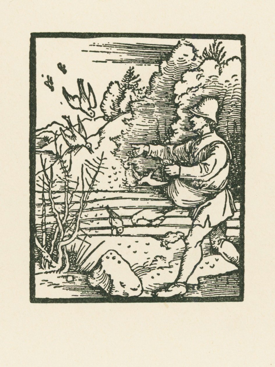 De gelijkenis van de zaaier door Albrecht Dürer or Duerer