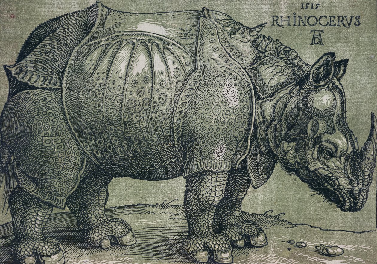De neushoorn door Albrecht Dürer