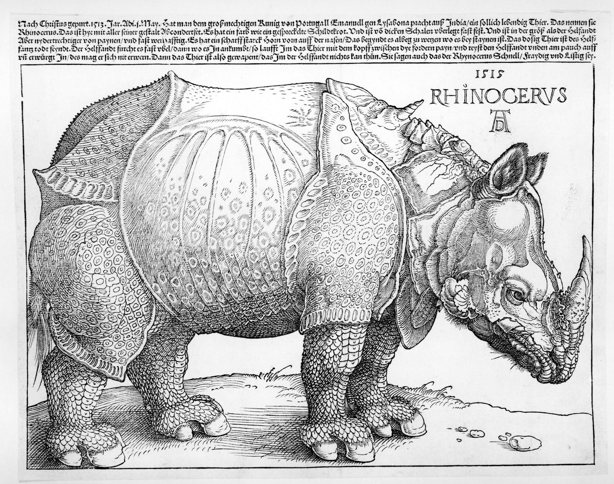 De Neushoorn, 1515 door Albrecht Dürer