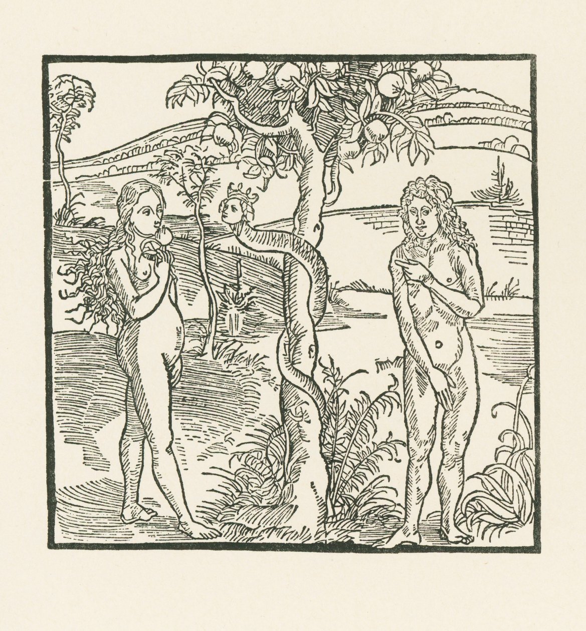 De val. Illustratie bij " Der Ritter von Turn " , c.1493-93 (houtsnede) door Albrecht Dürer or Duerer