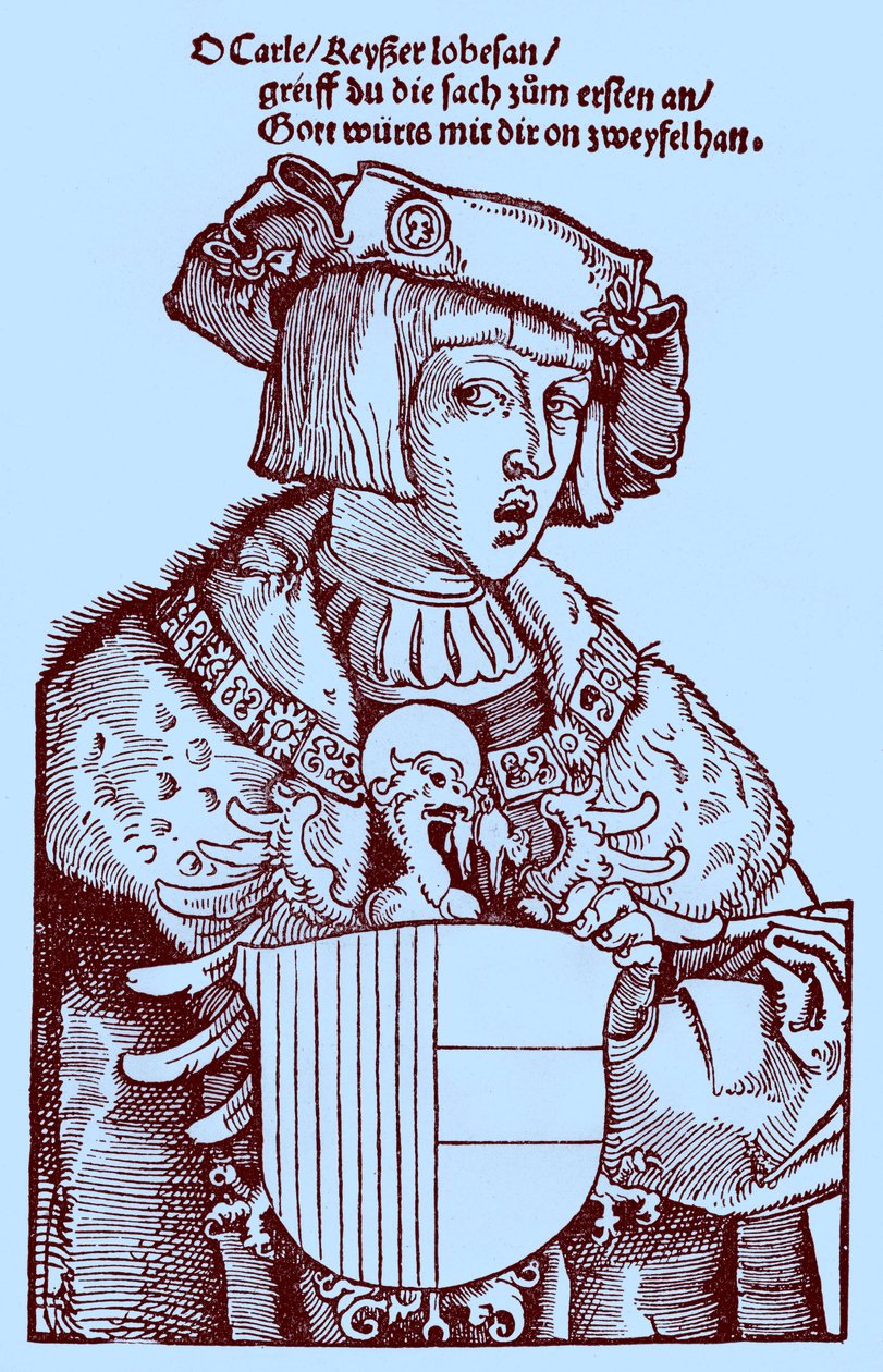 Jeugd Karel V (1500-1558) (gravure) door Albrecht Dürer