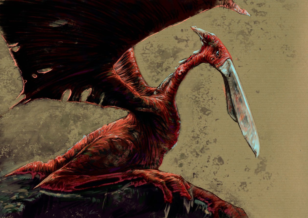 Fantastische monsters en wezens, cryptozoologie: representatie van een kongamato, een vliegend pterosaurusachtig wezen dat zou zijn gezien in de Jiundu-moerassen van het Mwinilunga-district in West-Zambia - Tekening door Alessandro Lonati, 2012 door Alessandro Lonati