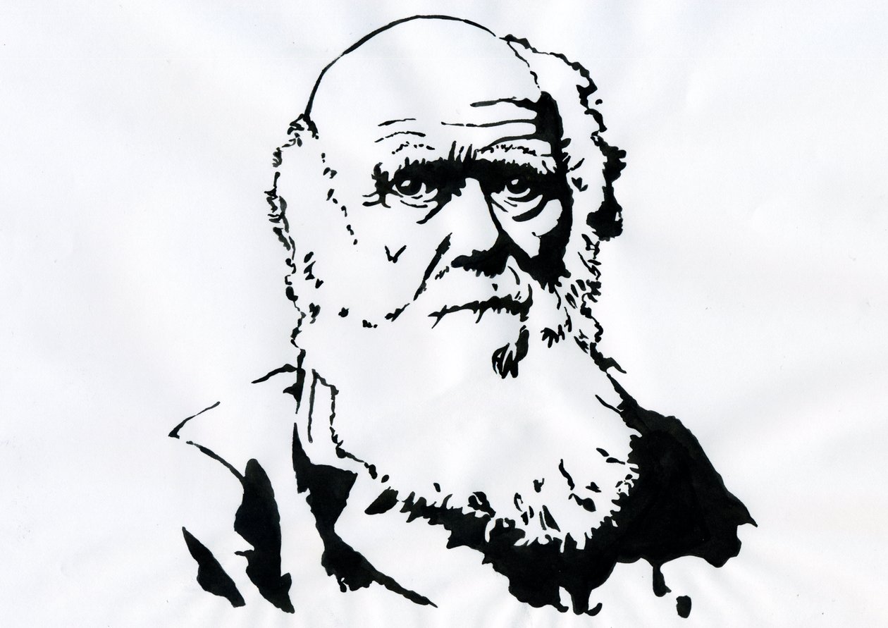 Portret van Charles Darwin - Portret van de Engelse natuuronderzoeker Charles Darwin (1809-1882) door Alessandro Lonati