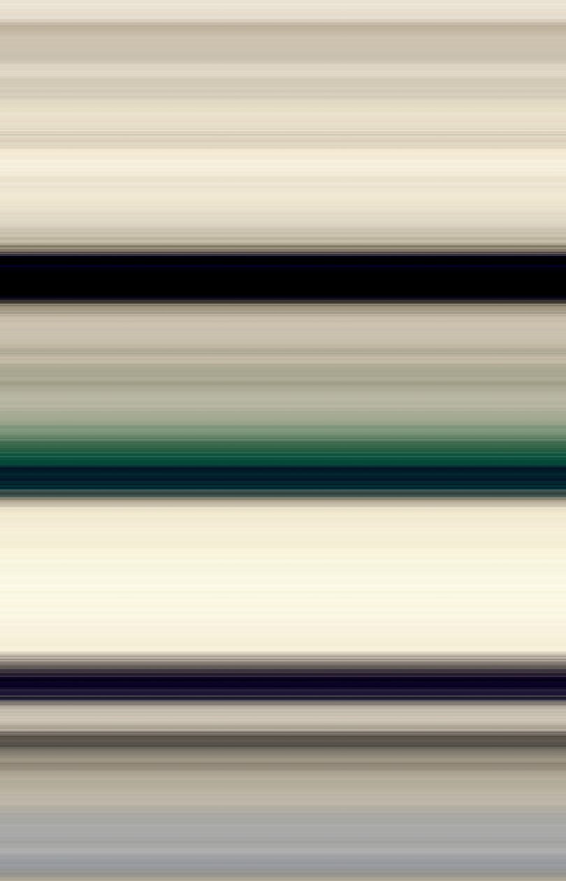 Fret van het instrument, 2017 door Alex Caminker