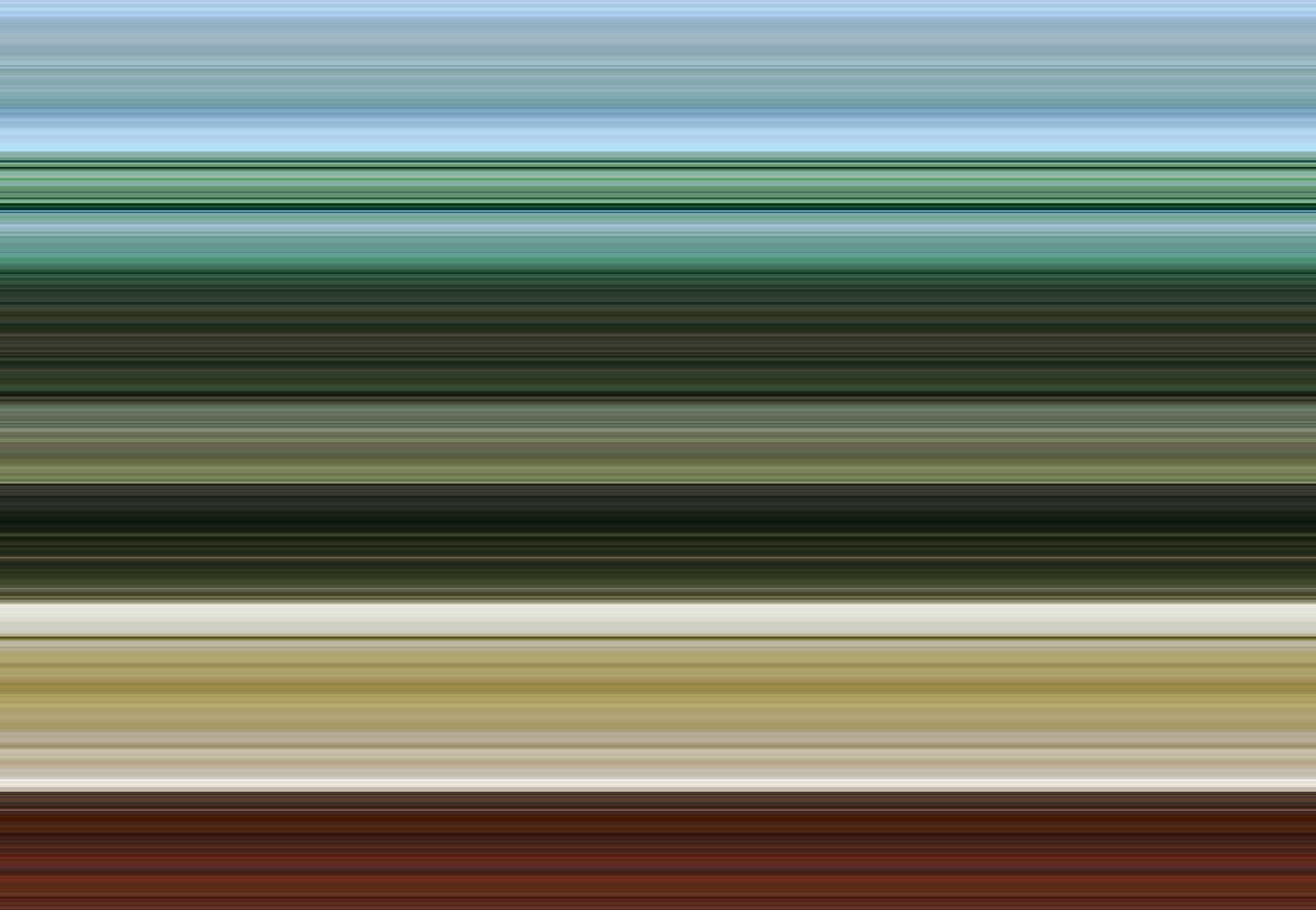 Snaren en Fretten, 2017 door Alex Caminker