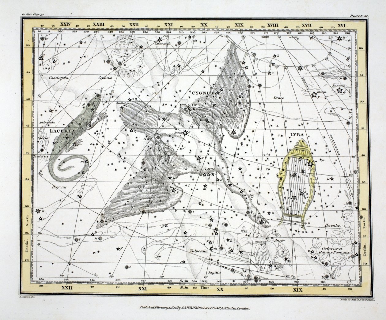 De Sterrenbeelden (Plaat XI) Cygnus, Lacerta en Via Lactea, uit 