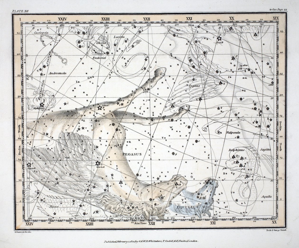 De sterrenbeelden (plaat XII) Pegasus en Equuleus, uit 