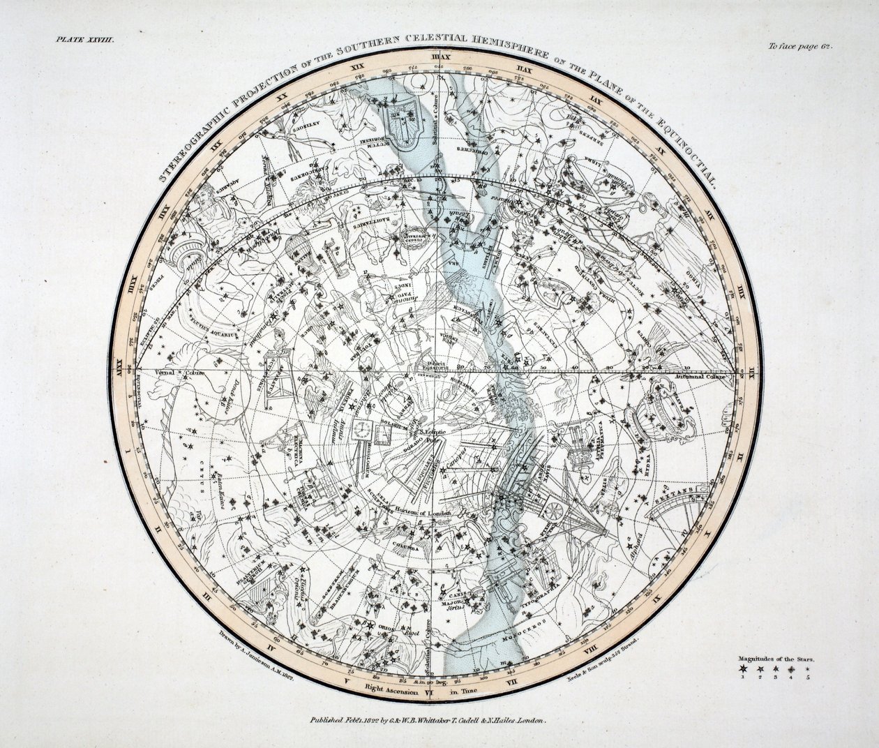 Het Zuidelijk Halfrond (Plate XXVIII) Phoenix, Piscis Volans, Pavo et Indus, Apus Indica, Grus, Circinus, Dorado vel Xiphias, De Kameleon, Crux, Mons Mensae, Reticula Rhomboidalis, Octans Hadlienus door Alexander Jamieson