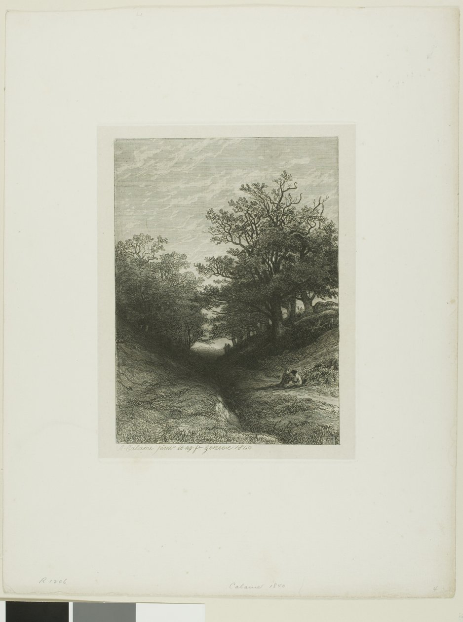 Alpenlandschap door Alexandre Calame