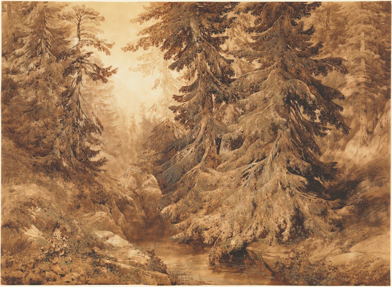 Een oud dennenbos met een bergbeek door Alexandre Calame