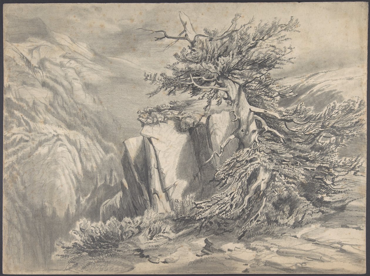 Gebroken boom in bergachtig landschap door Alexandre Calame