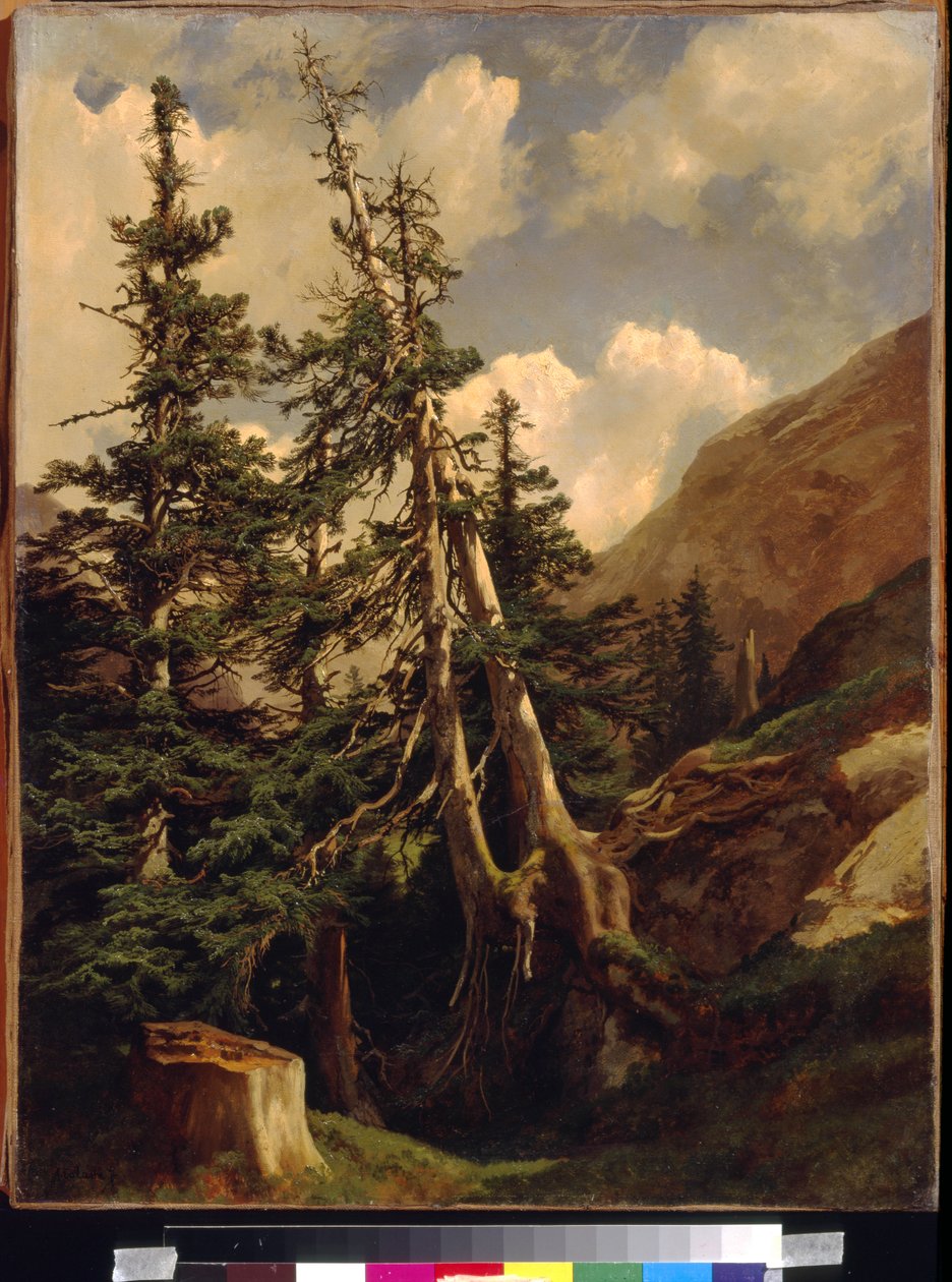Sparren in de bergen door Alexandre Calame (1810-1864) door Alexandre Calame