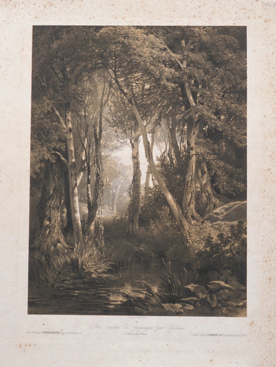 Landschap door Alexandre Calame