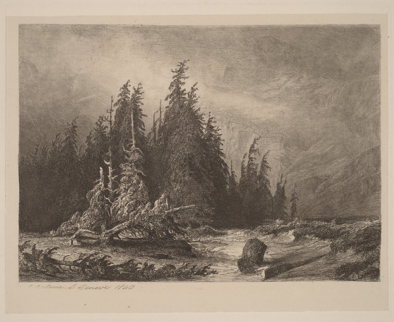 Bergdennen door Alexandre Calame