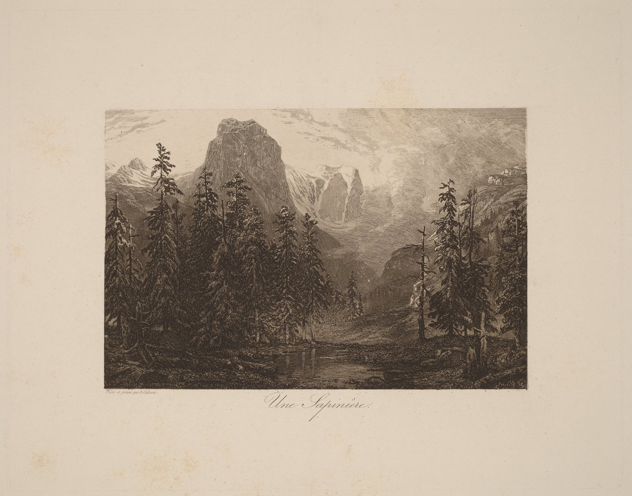Een dennenbos door Alexandre Calame