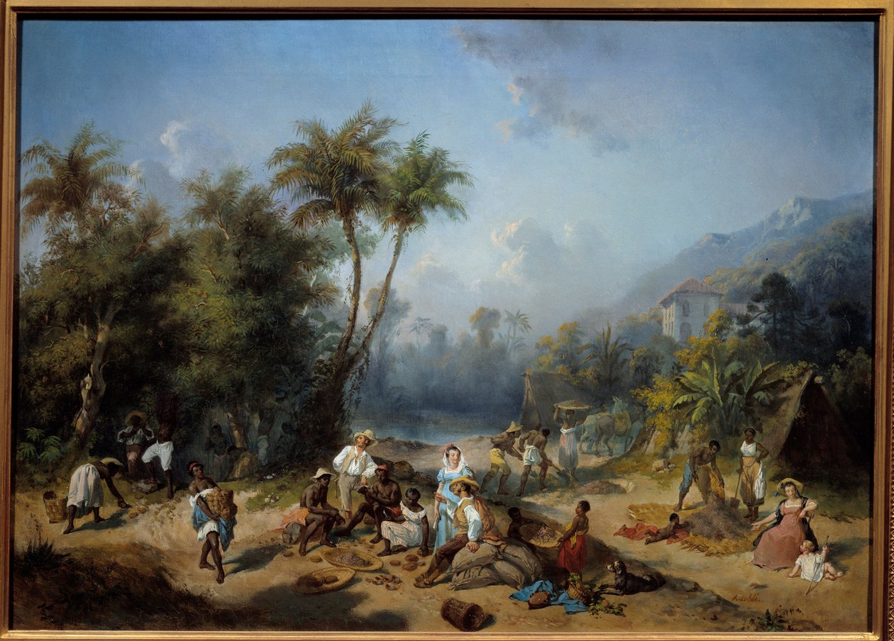 Een cacaoplantage in West-Indië door Alexandre Solde