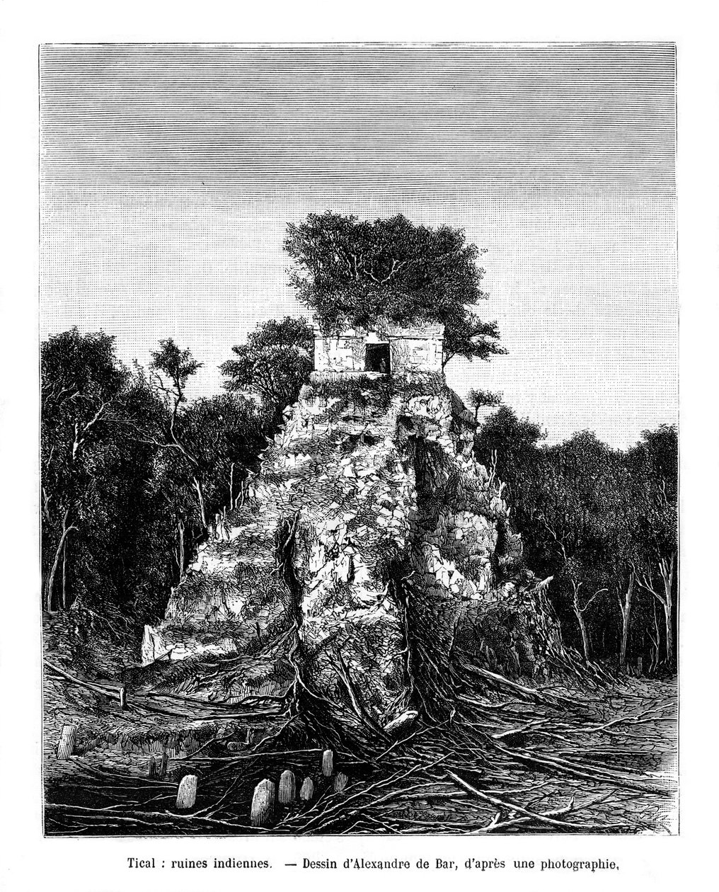 Maya-ruïnes, Tikal, Guatemala door Alexandre de Bar