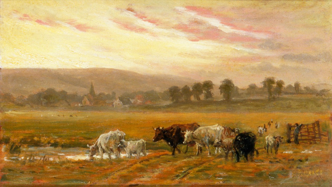 Zonsondergang bij Amberley door Alfred Fitzwalter Grace