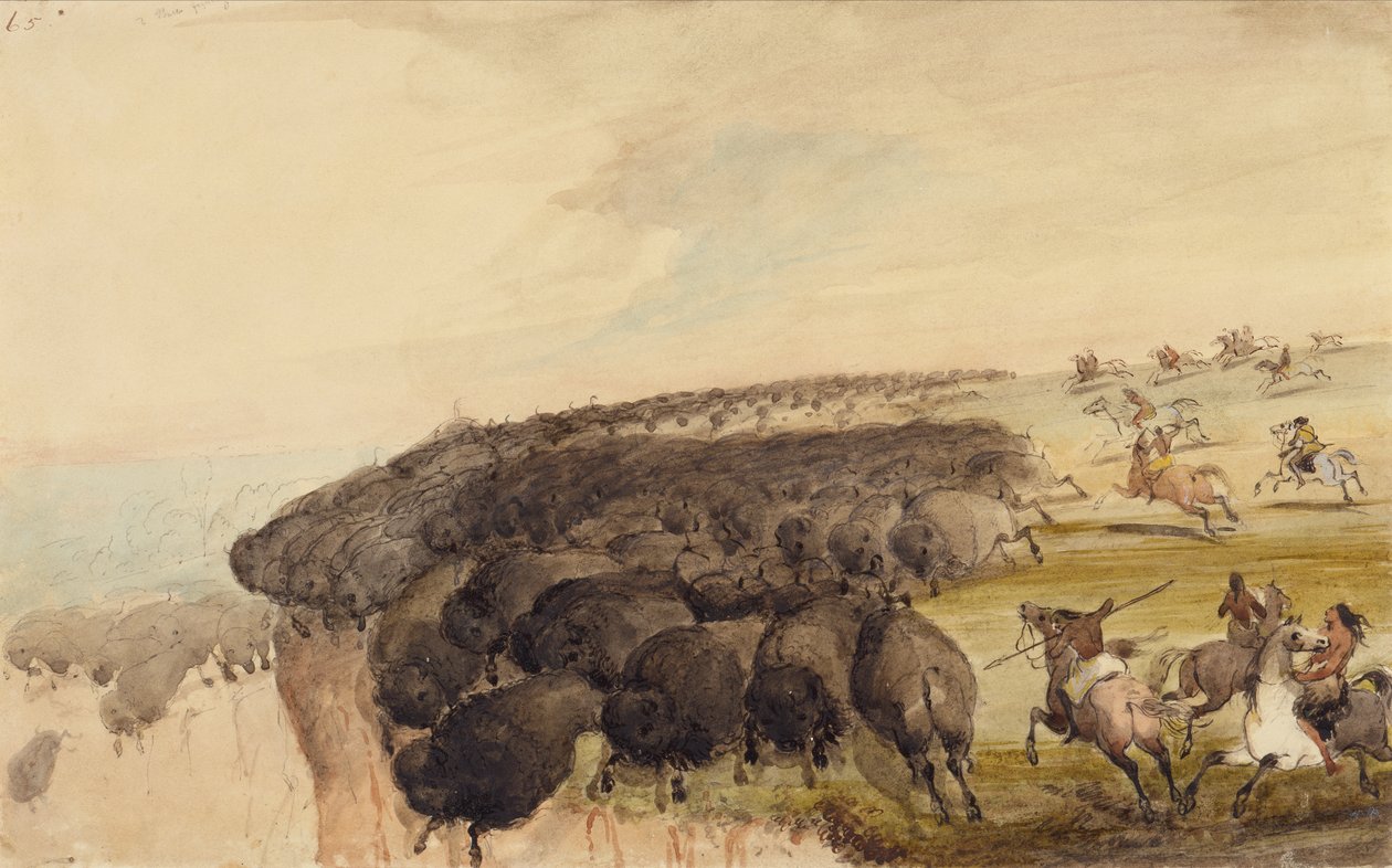 Kuddes Buffels over een Afgrond Drijven, ca. 1837 door Alfred Jacob Miller