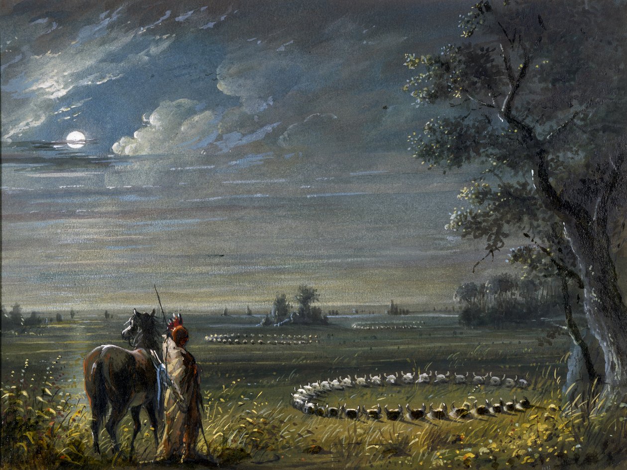 Medicijncirkels door Alfred Jacob Miller