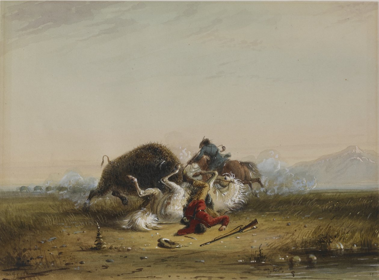 Pierre en de buffel door Alfred Jacob Miller