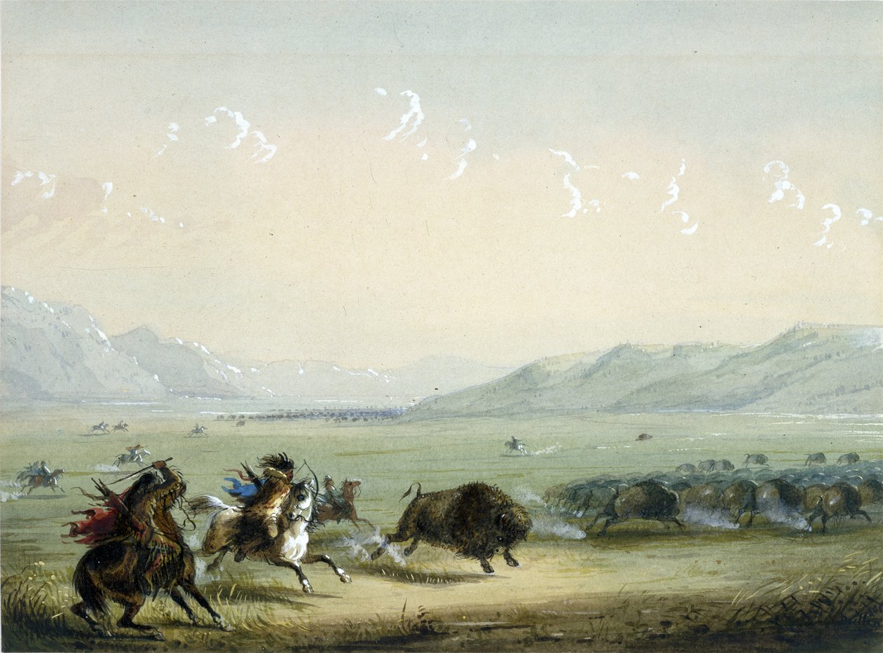 Running Buffalo door Alfred Jacob Miller