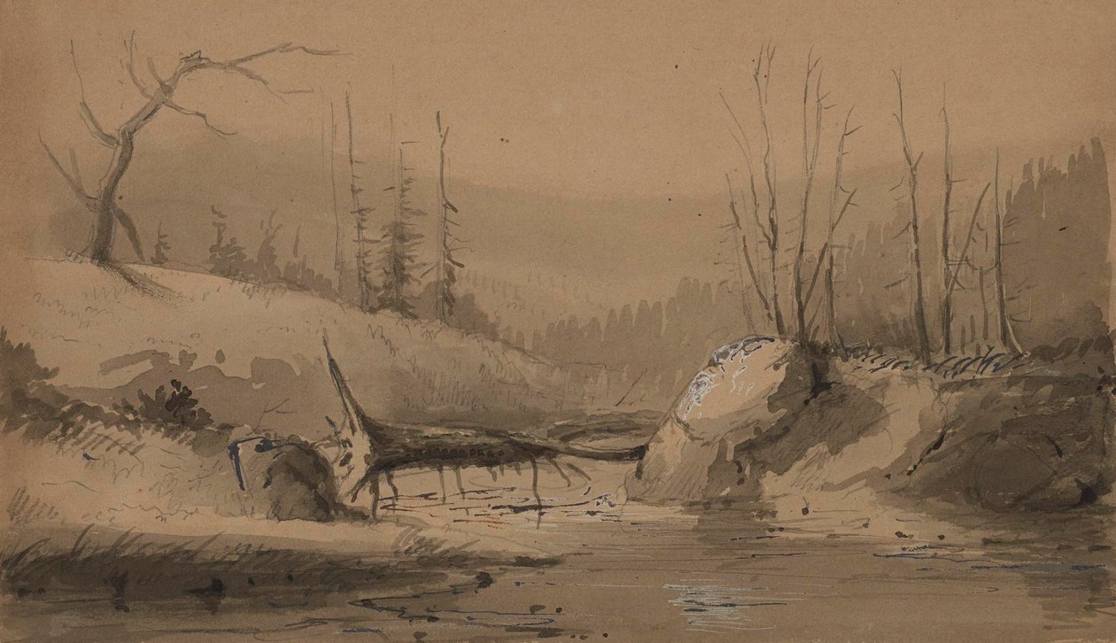 Beekje met een omgevallen boom door Alfred Jacob Miller