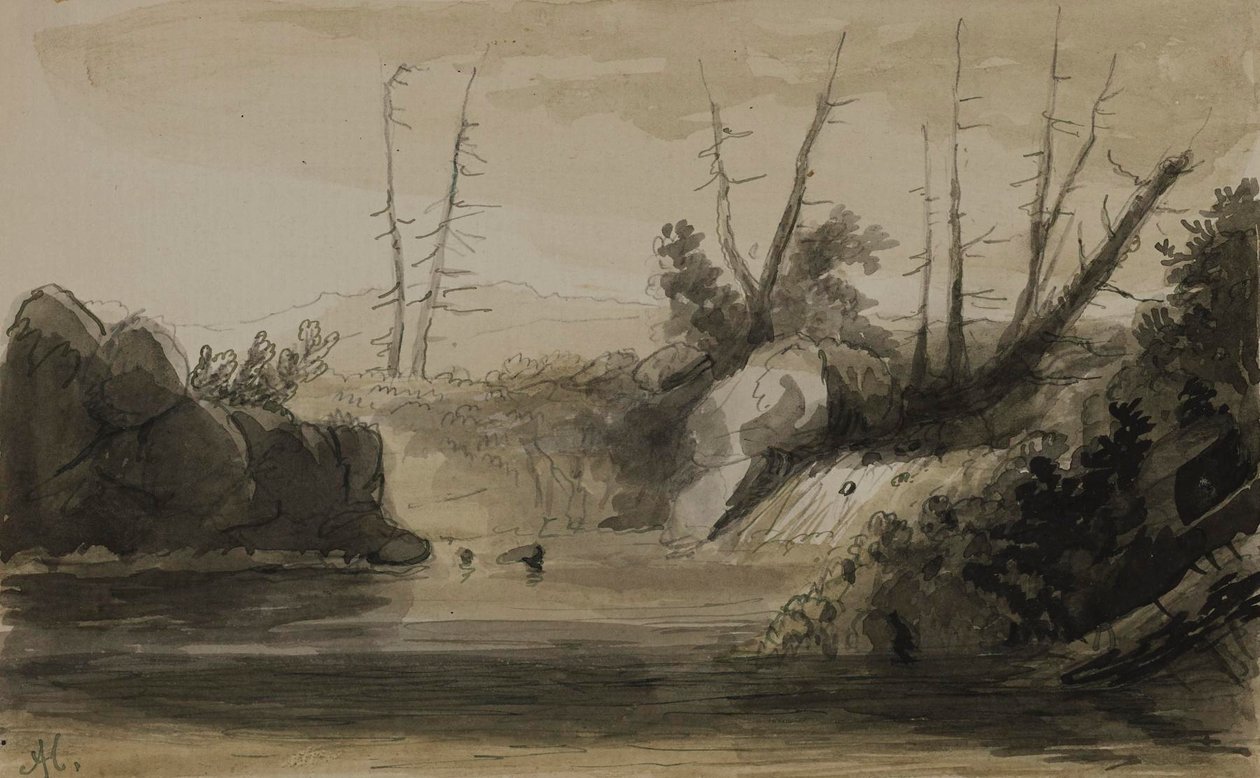 Gezicht op een waterval en een klein meer door Alfred Jacob Miller