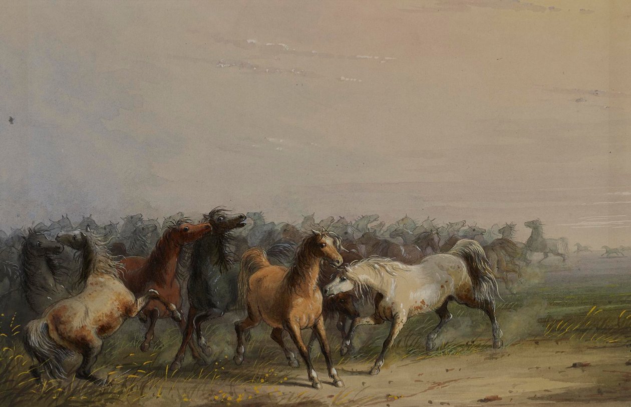 Wilde paarden door Alfred Jacob Miller