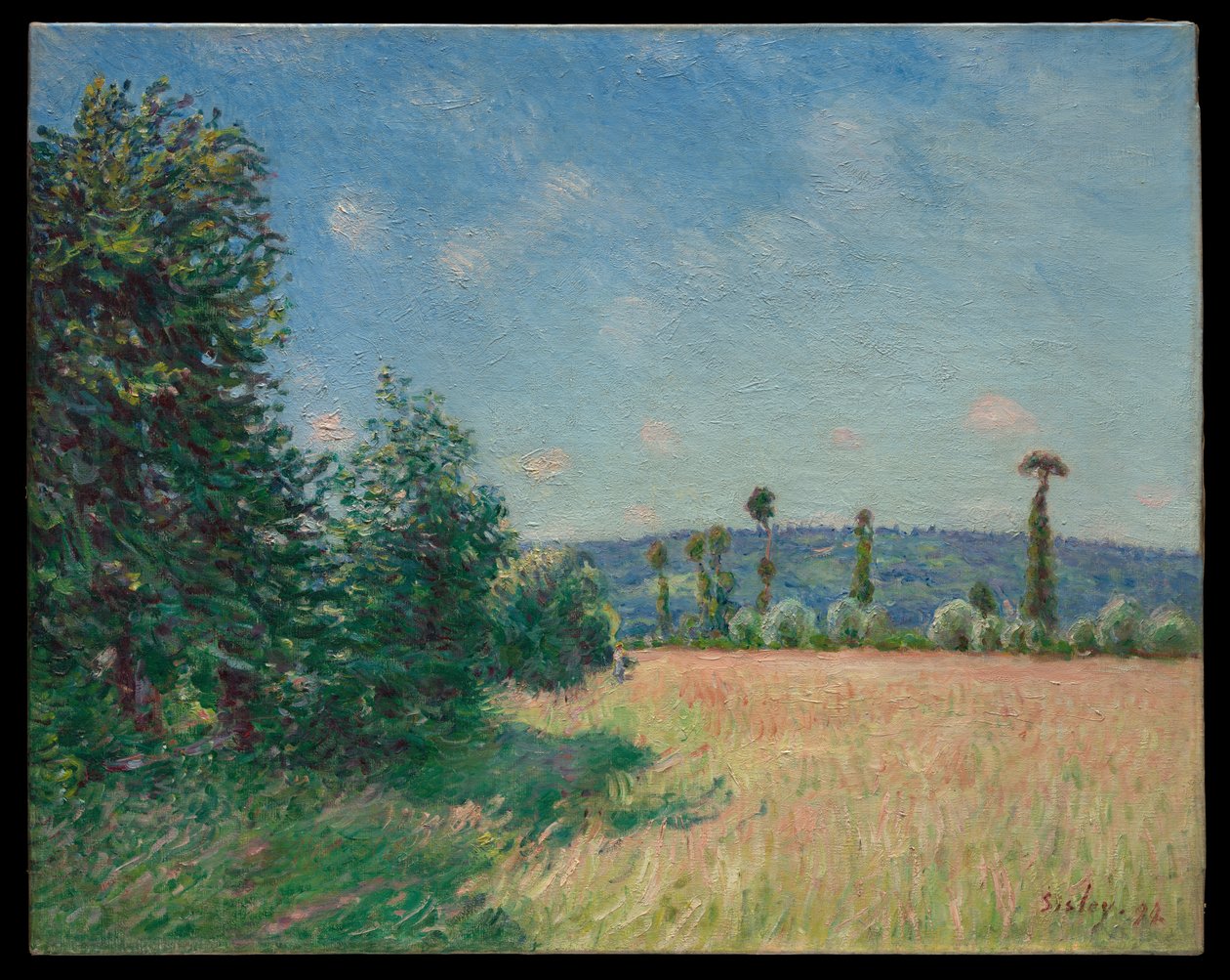 De weiden van Sahurs in de ochtendzon door Alfred Sisley