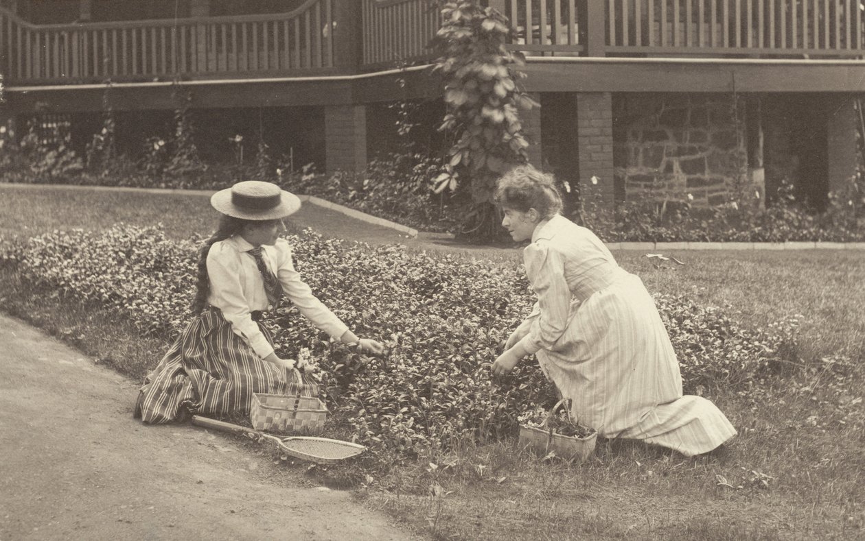 Een bloembed in Oaklawn door Alfred Stieglitz