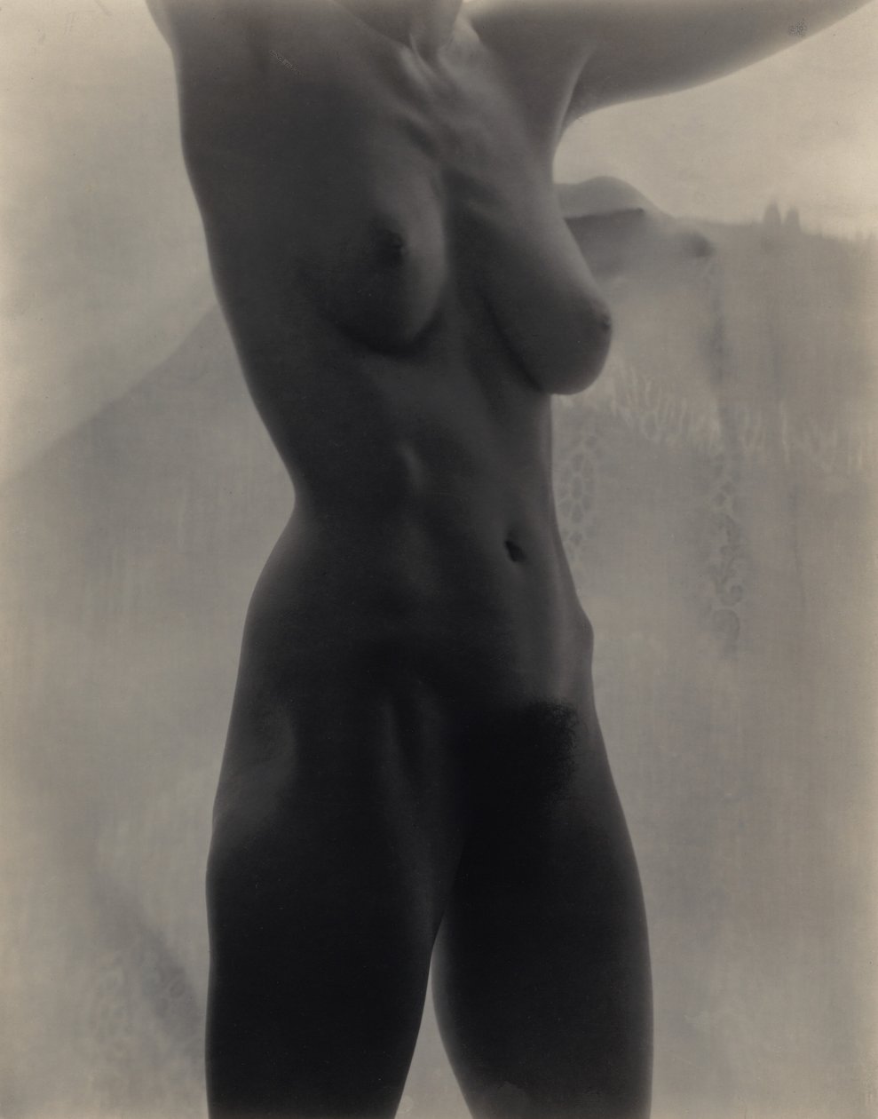 Georgia O’Keeffe — Torso door Alfred Stieglitz