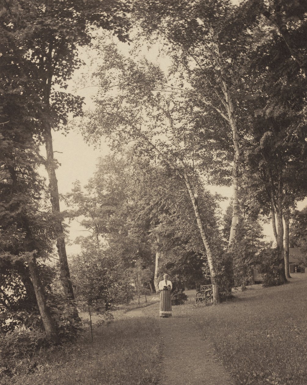 Hedwigs pad, Oaklawn, Lake George door Alfred Stieglitz