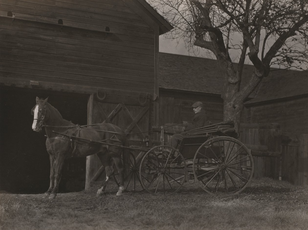 Paard en koets door Alfred Stieglitz