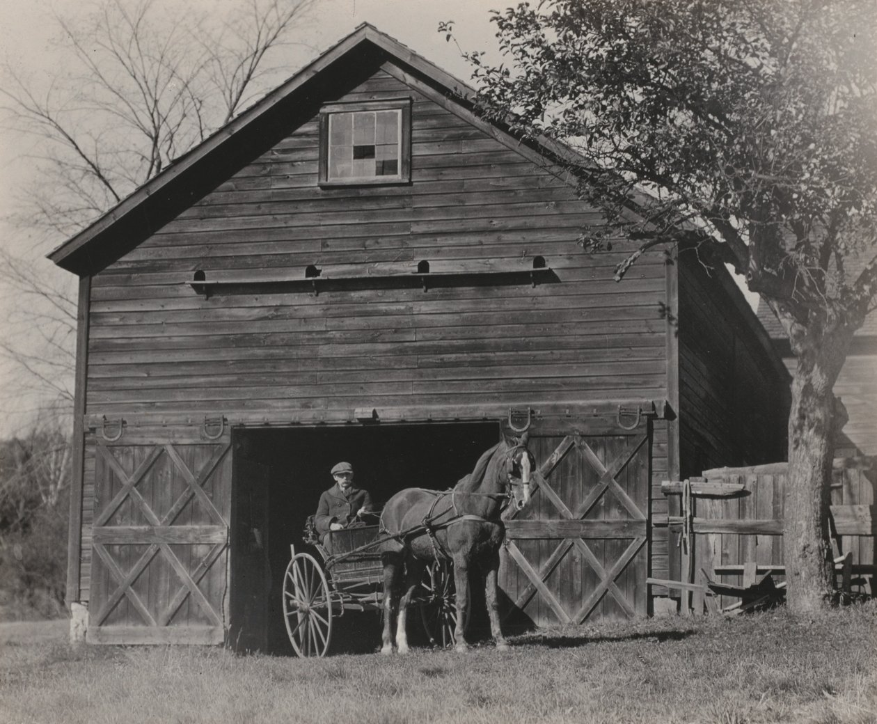 Paard en rijtuig door Alfred Stieglitz